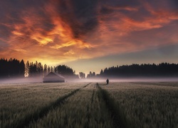 Dom na polu we mgle o zachodzie słońca