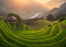 Pola uprawne, Tarasy ryżowe, Dom, Dolina, Góry, Mu Cang Chai, Wietnam