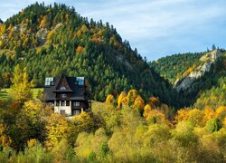 Polska, Góry, Pieniny, Krościenko, Pieniński Park Narodowy, Dom, Lasy