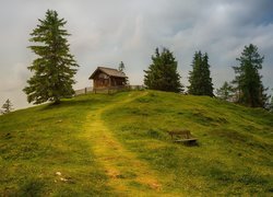 Dom na wzgórzu otoczony drzewami