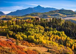 Stany Zjednoczone, Stan Kolorado, Telluride, Góry, San Juan Mountains, Góra, Wilson Peak, Las, Jesień, Góry, Drzewa