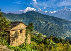 Góry, Himalaje, Dom, Drzewa, Nepal