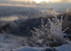 Dom na zalesionym wzgórzu nad rzeką