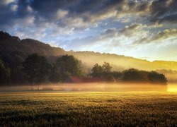 Dom na zamglonym o poranku polu