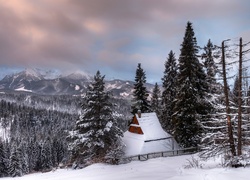 Dom, Góry, Las, Drzewa, Zima, Zakopane