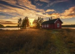 Domek, Jezioro Vaeleren, Gmina Ringerike, Norwegia, Trawy, Drzewa, Wschód słońca, Chmury