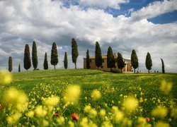 Dom ogrodzony cyprysami na wzgórzu w Toskanii