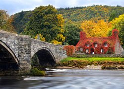 Las, Drzewa, Wzgórze, Dom, Most, Drzewa, Rzeka, Conwy River, Jesień, Llanrwst, Walia