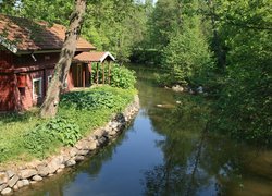 Dom pod drzewami nad rzeką