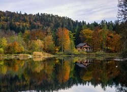 Dom pod jesiennymi drzewami nad brzegiem jeziora