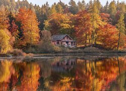 Jezioro, Lago di Cei, Las, Drzewa, Jesień, Dom, Trentino, Włochy