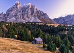 Włochy, Dolomity, Góry, Las, Drzewa, Dom
