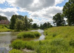 Dom pośród drzew nad rzeką