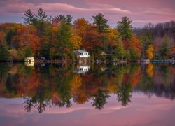 Jezioro, Las, Dom, Drzewa, Jesień, Peterborough, Kanada