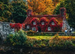 Dom Tu Hwnt ir Bont okryty jesiennymi liśćmi w Llanrwst