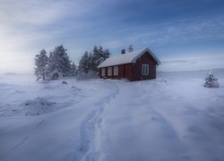 Norwegia, Gmina Ringerike, Zima, Drzewa, Las, Dom, Śnieg, Mgła