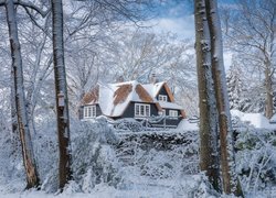 Dom za drzewami pokryty śniegiem
