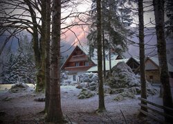 Zima, Słowenia, Bohinj, Domek gościnny Erlah, Gostišče Erlah, Drzewa, Krzewy, Śnieg