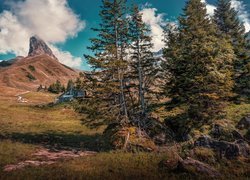 Góry, Domy, Drzewa, Chmury, Bannalp, Kanton Nidwalden, Szwajcaria