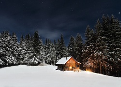Domek w nocnej zimowej scenerii