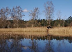 Jesień, Szuwary, Domek, Drzewa, Jezioro