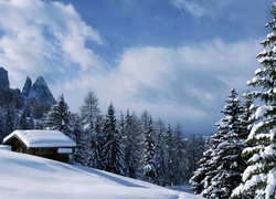 Domek w zimowym lesie w ośrodku narciarskim Val Gardena we Włoszech