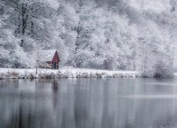 Domek wśród oszronionych drzew nad jeziorem