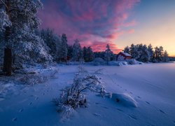 Norwegia, Gmina Ringerike, Zima, Drzewa, Domek, Zachód słońca, Chmury