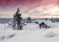 Domki i drzewa w zimie na terenie Sjusjoen w Norwegii