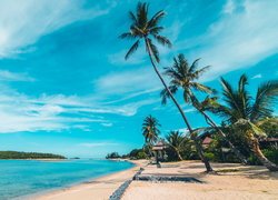 Domki i palmy na plaży