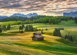 Dolina Val Gardena, Góry Sassolungo, Dolomity, Płaskowyż, Seiser Alm, Domki, Łąki, Drzewa, Chmury, Włochy