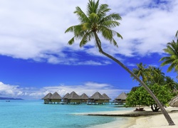 Domki na palach i palmy na wyspie Moorea w Polinezji francuskiej