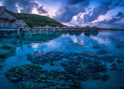 Domki na palach na brzegu Oceanu Spokojnego w Tahiti