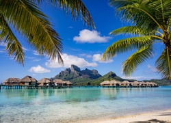 Bora Bora, Palmy, Domki, Góra Otemanu, Wyspa