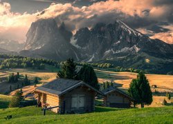 Włochy, Dolomity, Góry Sassolungo, Dolina Val Gardena, Wschód słońca, Domki, Drzewa