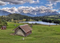 Jezioro Geroldsee, Góry, Alpy Bawarskie, Domki, Polana, Pies, Chmury, Drzewa, Lasy, Bawaria, Niemcy