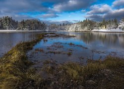 Zima, Jezioro, Trawa, Drzewa, Śnieg, Domki