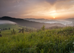 Rumunia, Bukowina, Wzgórza, Zachód słońca, Mgła, Drzewa, Łąka