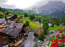 Domy, Droga, Góry, Miejscowość, Grindelwald, Kanton Berno, Szwajcaria