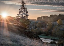 Domy i drzewa nad rzeką o poranku