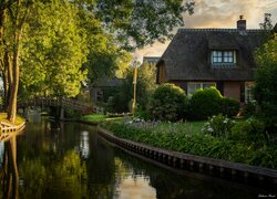 Domy i drzewa nad rzeką w holenderskiej miejscowości Giethoorn