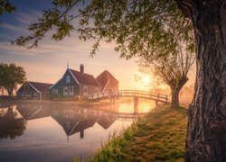 Domy i drzewa przy moście o wschodzie słońca w Zaandam