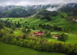 Góry, Wzgórza, Lasy, Drzewa, Mgła, Dolina, Domy, Łąki