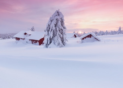 Domy i drzewa w polu zasypane śniegiem