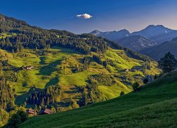 Domy i lasy na wzgórzu w austriackiej gminie Grossarl