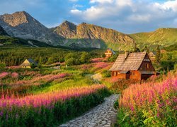 Góry, Tatry, Droga, Domy, Kwiaty, Tatrzański Park Narodowy, Polska