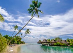 Domy na palach i palmy na plaży w tropikach