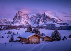 Włochy, Region Trydent-Górna Adyga, Góry Dolomity, Płaskowyż Seiser Alm, Zima, Drzewa, Domy, Chmury
