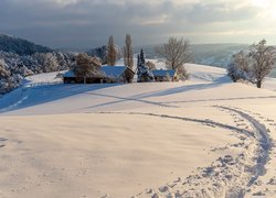 Zima, Śnieg, Góry, Domy, Drzewa, Ścieżka