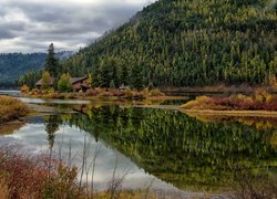 Zalesione, Góry, Las, Drzewa, Domy, Jezioro, Salmon Lake, Stan Montana, Stany Zjednoczone